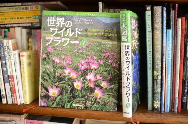 ブックガイド「世界のワイルドフラワー」ーなぜ日本では球根を掘り